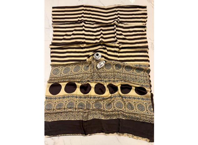 EVWAAH Cocoa Cream Zebra-Medallion Saree