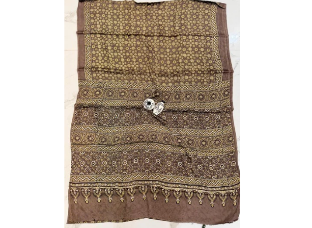 EVWAAH Cocoa Ochre Medallion Ajrakh Saree