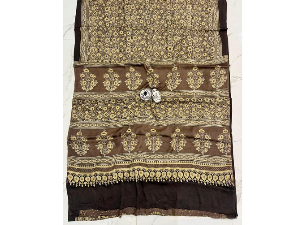 EVWAAH Cocoa Ochre Floral Ajrakh Saree