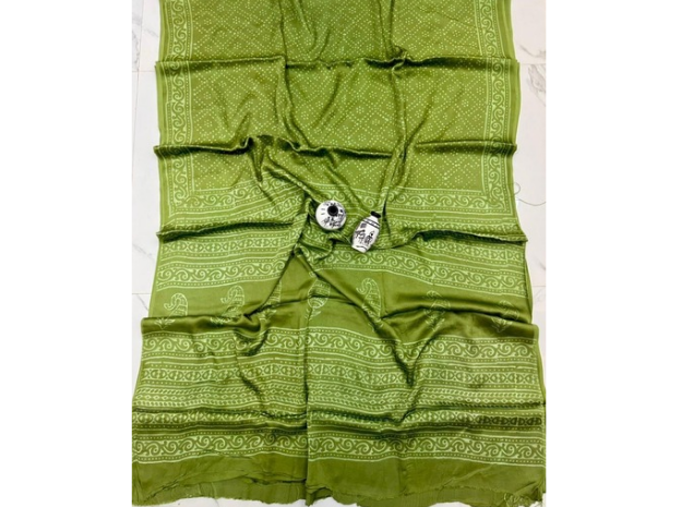 EVWAAH Chartreuse Lime Bandhani-Ajrakh Saree