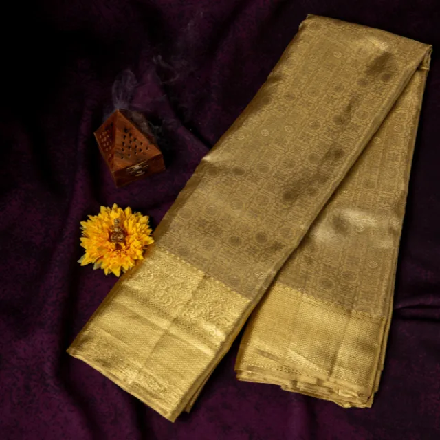 EVWAAH Swarnarekha Heritage Gold Tissue Saree