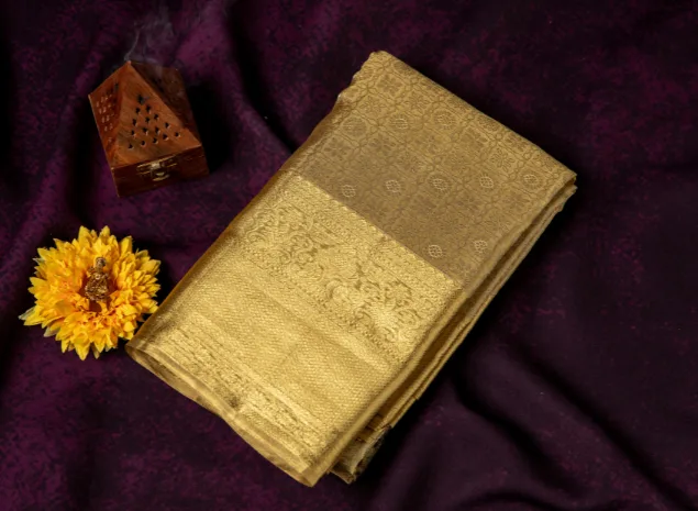EVWAAH Swarnarekha Heritage Gold Tissue Saree